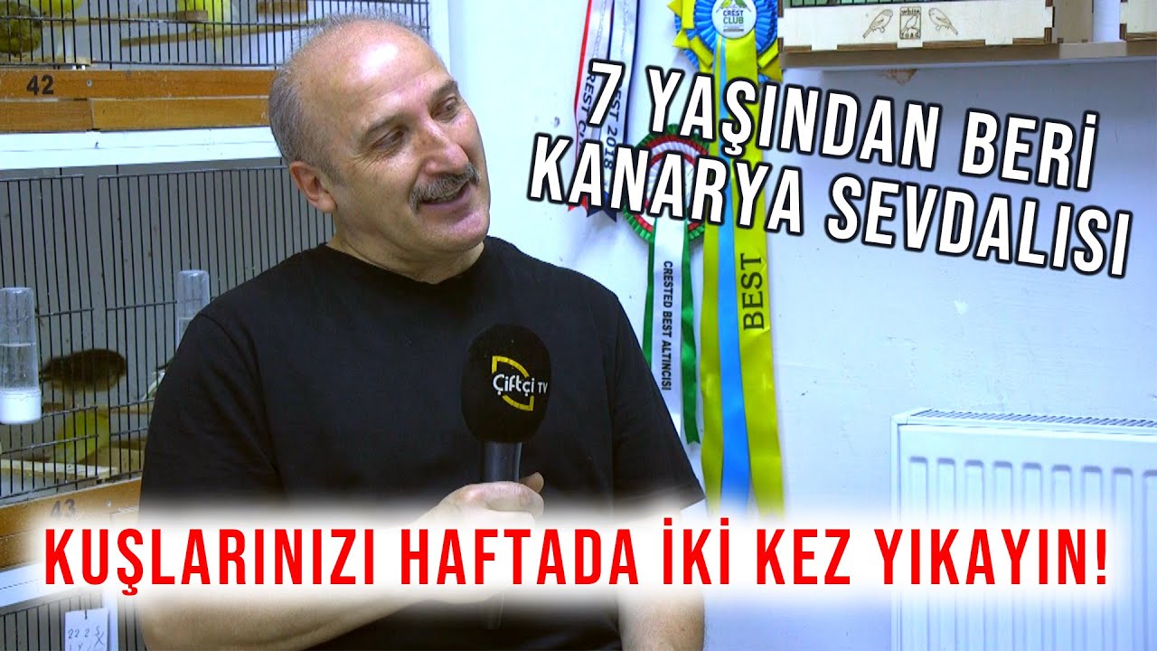 Kuşlarınızı Haftada İki Kez YIKAYIN! / 7 Yaşından Beri Kanarya Sevdalısı – Süslü