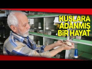 Kuşlara Adanmış Bir Hayat