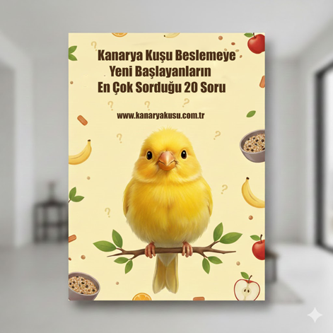 Kanarya Kuşu Beslemeye Yeni Başlayanların En Çok Sorduğu 20 Soru