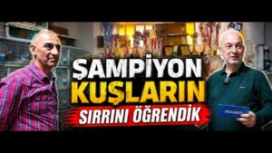Ergün Yiğit ile Şampiyon Kanaryaların Sırrı