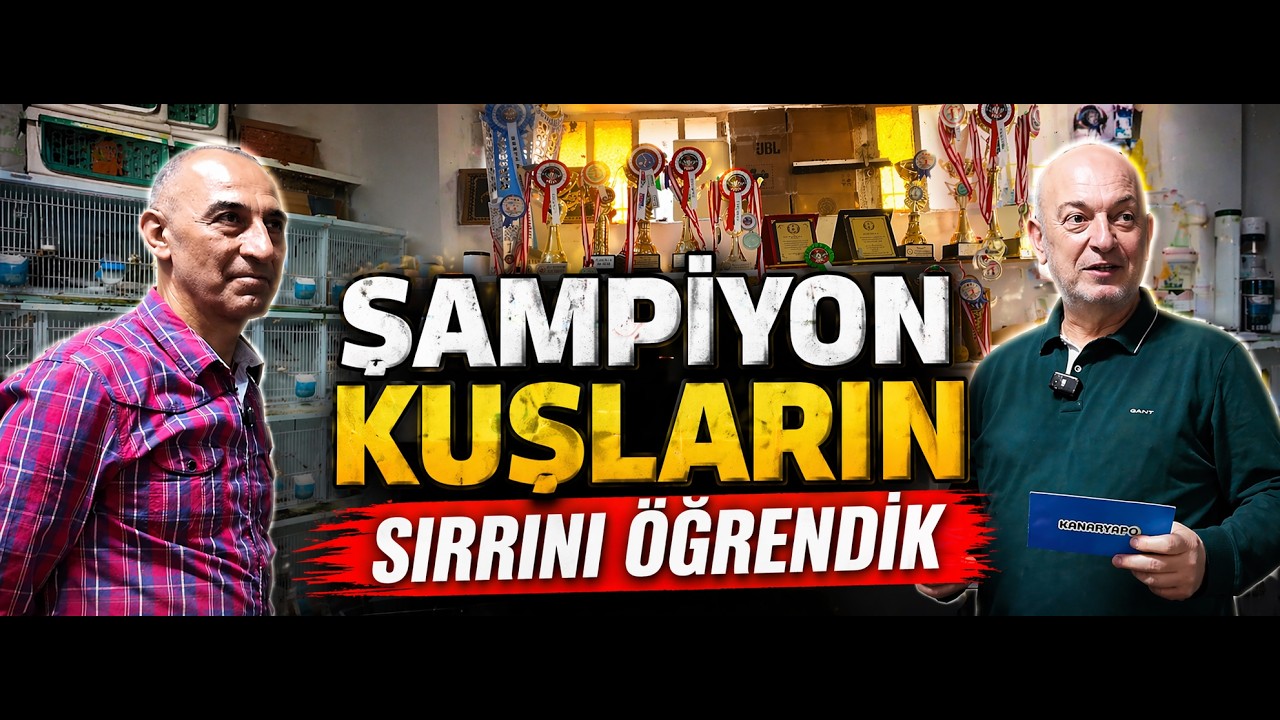 Ergün Yiğit ile Şampiyon Kanaryaların Sırrı
